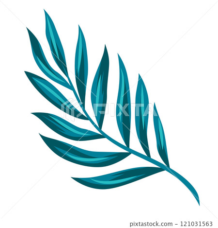 Stylized date palm leaf. Decorative image of tropical foliage and plant. Stylized date palm leaf. Decorative image of tropical foliage and plant. 121031563