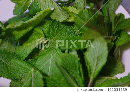 texture of Ocimum africanum leaves, called as Daun Kemangi in Indonesia. Eaten raw as a food condiment 121031589