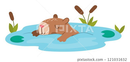 Vector capybara icon. Cute capibara swimming in pond with reeds with closed eyes. Funny happy animal illustration isolated on white background. Comic trendy guinea pig clipart 121031632
