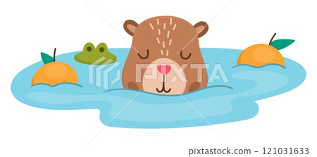 Vector capybara icon. Cute capibara swimming in pond with tangerines with closed eyes. Funny happy animal illustration isolated on white background. Comic trendy guinea pig clipart 121031633