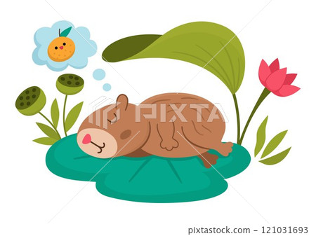 Vector capybara icon. Cute capibara sleeping on water lily leaf with closed eyes, dreaming of tangerine. Funny happy animal illustration isolated on white background. Comic trendy guinea pig clipart 121031693
