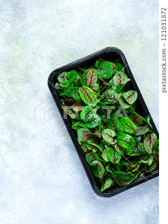 sorrel, bloody Mary, fresh baby sorrel leaves, with red veins, microgreens, in a black container, sorrel, bloody Mary, fresh baby sorrel leaves, with red veins, microgreens, in a black container, 121031872