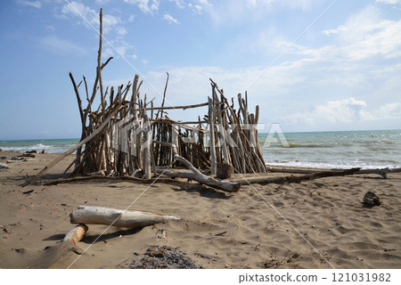 Washed up wood used to build wooden shelters against wind and sun on the beach near Marina di Grosseto, Tuscany, Italy 121031982