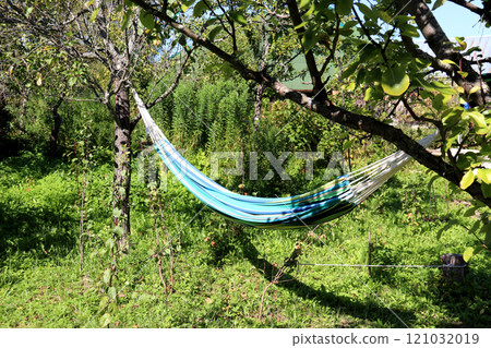 Striped hammock hanging and an apple tree branch in the foreground Striped hammock hanging and an apple tree branch in the foreground 121032019