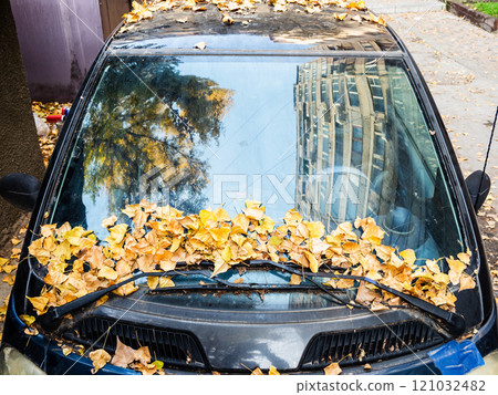 yellow fallen leaves on windscreen of little car yellow fallen leaves on windscreen of little car 121032482
