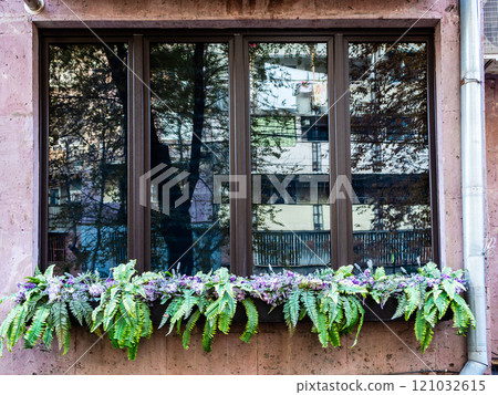 flowers on outside window sill of apartment house 121032615