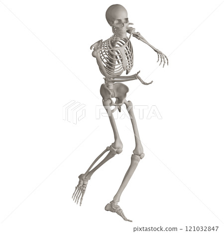 Posing skeleton with transparent background 121032847