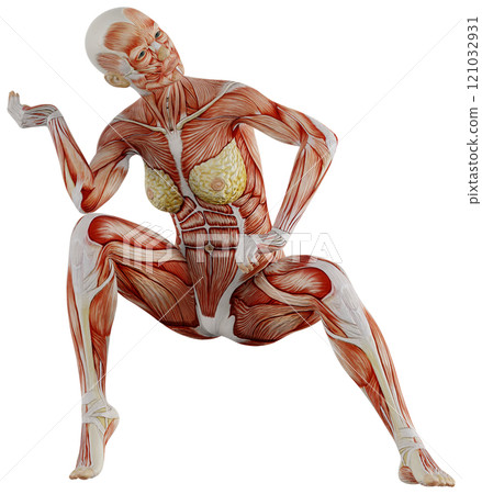 肌肉發達的女性身體擺姿勢，背景透明 121032931