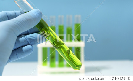 Biotechnology lab. Plant sprout in a test tube. Scientific laboratory and bioengineering Biotechnology lab. Plant sprout in a test tube. Scientific laboratory and bioengineering 121032968