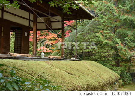 妙心寺慶春院秋季真如庭園(京都市右京區) 妙心寺慶春院秋季真如庭園(京都市右京區) 121033061