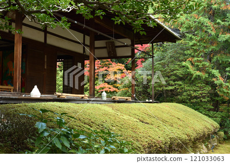 妙心寺慶春院秋季真如庭園(京都市右京區) 妙心寺慶春院秋季真如庭園(京都市右京區) 121033063
