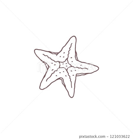 A cartoon vector illustration depicting a starfish from tropical waters on a white background A cartoon vector illustration depicting a starfish from tropical waters on a white background 121033622
