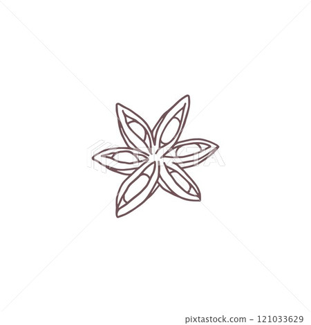 Vector graphics with illustrations of fragrant star anise on a white background 121033629