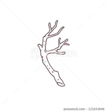 Vector illustration with doodle style tree branch sketch. Vector illustration with doodle style tree branch sketch. 121033646