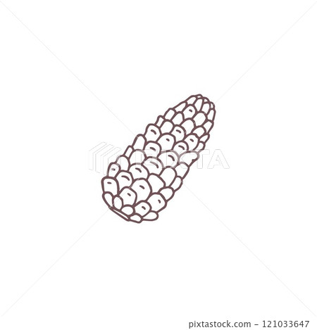 Pine cone black contour vector icon, fir cone botanical hand drawn, natural aromatic coniferous fragrance, forest scent 121033647