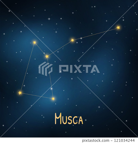 Musca constellation in a starry night sky with cosmic glow. 121034244