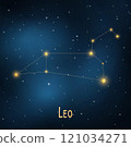 Leo constellation in starry night sky. 121034271