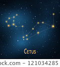 Cetus constellation in a starry night sky: astronomy, science, universe, celestial patterns. 121034285