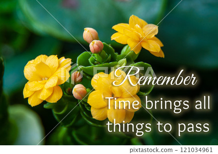 Remember time brings all things to pass text with yellow flower background. 121034961