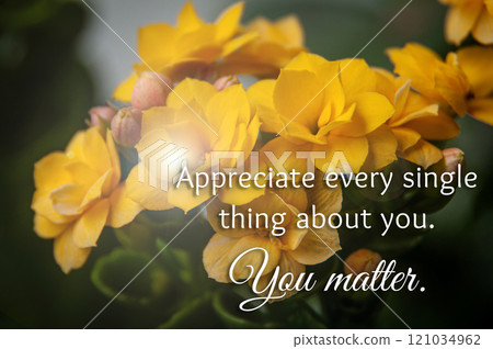 Appreciate every single thing about you. You matter. Inspirational and motivational concept. Appreciate every single thing about you. You matter. Inspirational and motivational concept. 121034962