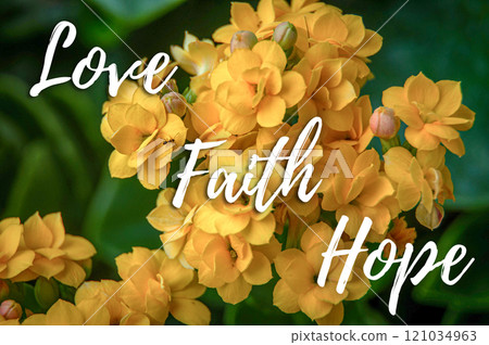 Love, Faith and Hope text with beautiful yellow flower background. Love, Faith and Hope text with beautiful yellow flower background. 121034963