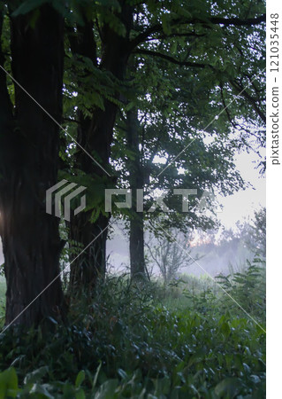 Summer foggy evening in countryside. Summer foggy evening in countryside. 121035448