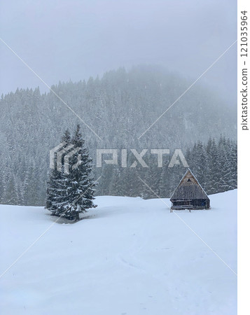 Snowy Mountain Cabin with Single Tree Snowy Mountain Cabin with Single Tree 121035964