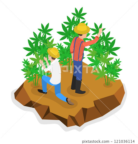 3D Isometric Flat  Illustration of Hemp Farm. Item 2 121036114