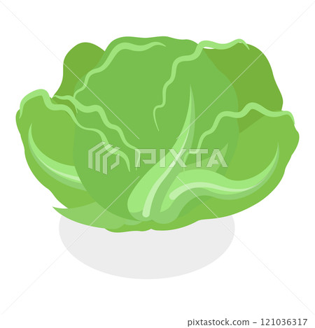 3D Isometric Flat  Set of Salad Greens. Item 2 121036317