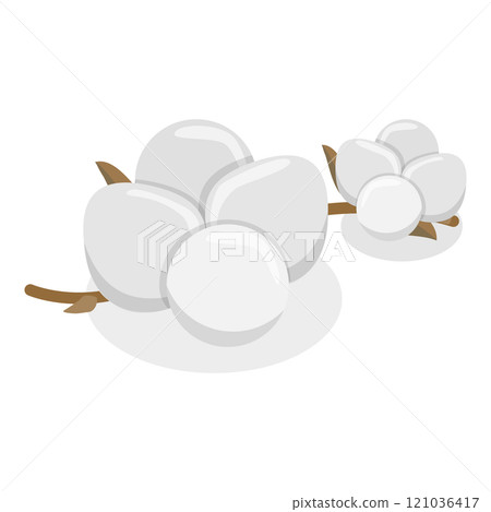 3D Isometric Flat Illustration of Cotton Flower Collection. Item 4 3D Isometric Flat Illustration of Cotton Flower Collection. Item 4 121036417