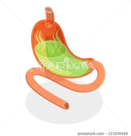 3D Isometric Flat Set of Stomach Problems. Item 4 3D Isometric Flat Set of Stomach Problems. Item 4 121036480