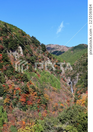 大荒瀑布 紅葉峽谷 色彩繽紛的峽谷（高知縣香美市） 121036984