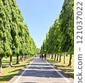 tree-lined walkway surrounded by vibrant greenery and visitors enjoying the park under a clear blue sky. 121037022