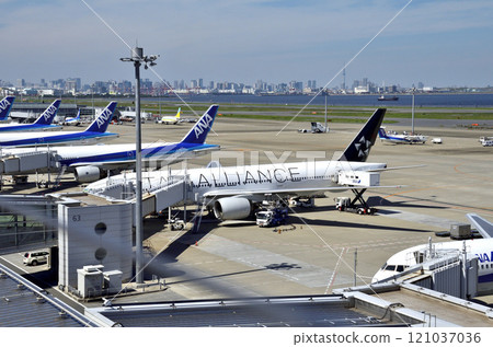 Passenger planes parked at the apron of Haneda Airport's Terminal 2 Building and cityscape 121037036
