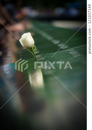 刻名字和玫瑰（紐約） 121037149