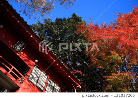 [栃木縣]磯山弁財天的塔門矗立在紅葉染紅的山中 121037206