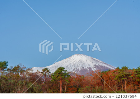 Mt. Fuji in autumn with autumn leaves and snow on the side of the roadside station Subashiri 121037694