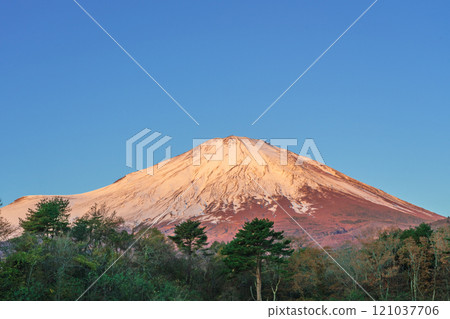 秋天的富士山，秋葉和雪帽，路邊車站須走側 121037706