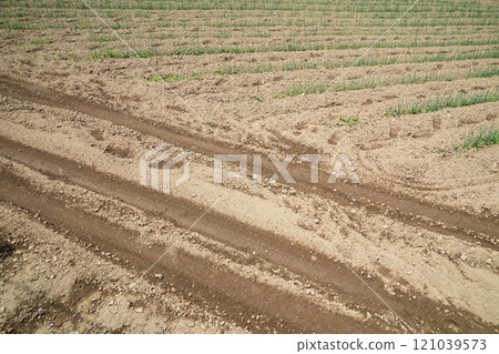 田野裡的輪胎痕跡 121039573