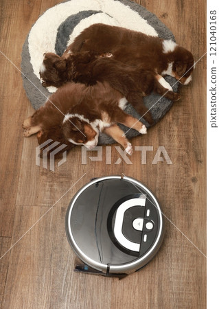 A black robot is on a wooden floor next to a group of s A black robot is on a wooden floor next to a group of s 121040168