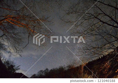Starry sky and beautiful autumn leaves Night view Ver.2024-11-1 121040188