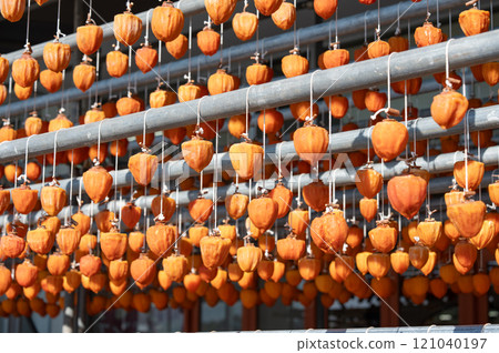 Dried persimmons, dried persimmons, dried fruits 121040197