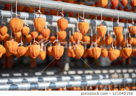 Dried persimmons, dried persimmons, dried fruits 121040198