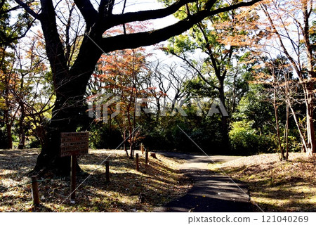 Yokohama City Kuragi Park Woodland Square Yokohama City Kuragi Park Woodland Square 121040269