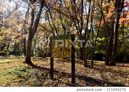 橫濱市倉木公園雜樹廣場 橫濱市倉木公園雜樹廣場 121040270