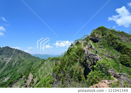 六月，登山者沿著新鮮綠色的戶隱螞蟻行走 121041349