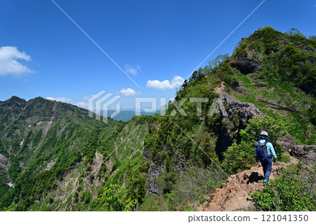 六月,登山者沿著新鮮綠色的戶隱螞蟻行走 六月,登山者沿著新鮮綠色的戶隱螞蟻行走 121041350