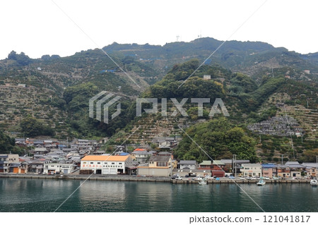 Port town scenery along Yawatahama Port (mandarin orange terraced fields) 121041817