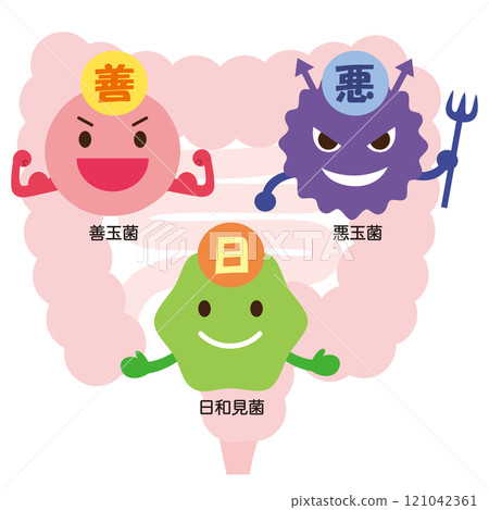 Intestinal bacteria: Good bacteria, bad bacteria, and opportunistic bacteria 121042361