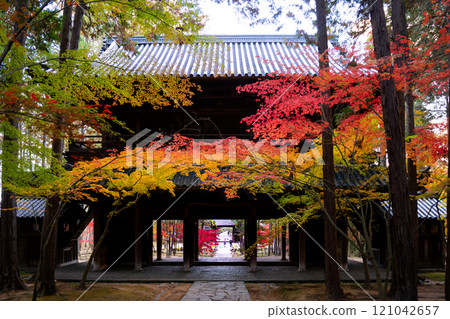 秋天的曹源寺,紅葉美麗 秋天的曹源寺,紅葉美麗 121042657